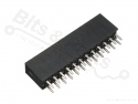 Header pin socket female 2x12 pins